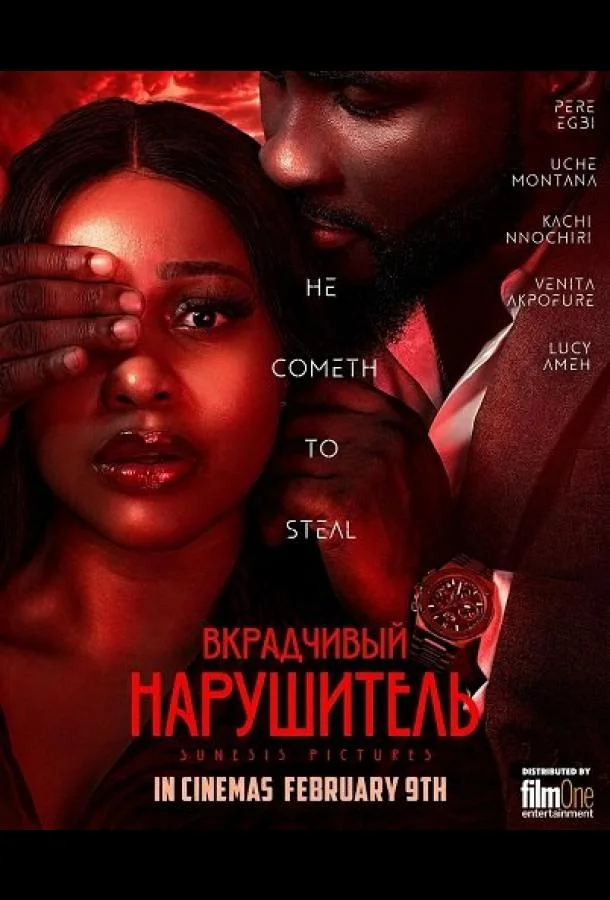 Вкрадчивый Нарушитель 2024 смотреть фильм онлайн